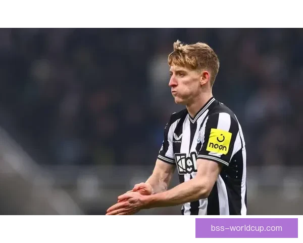 戈登特里皮尔争点终和解风波事